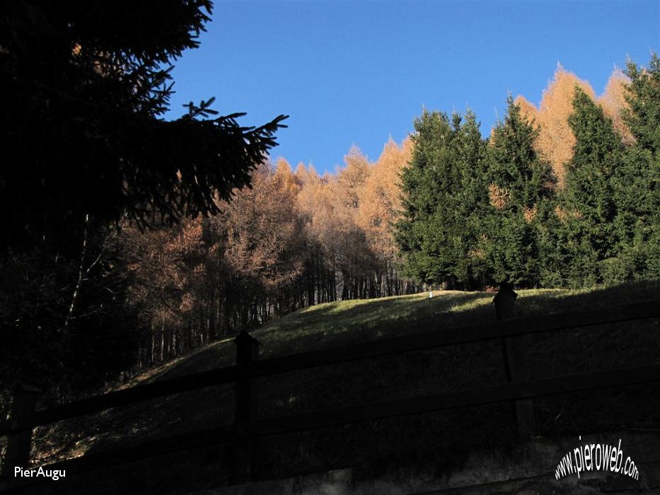 014 i colori dell'autunno.JPG